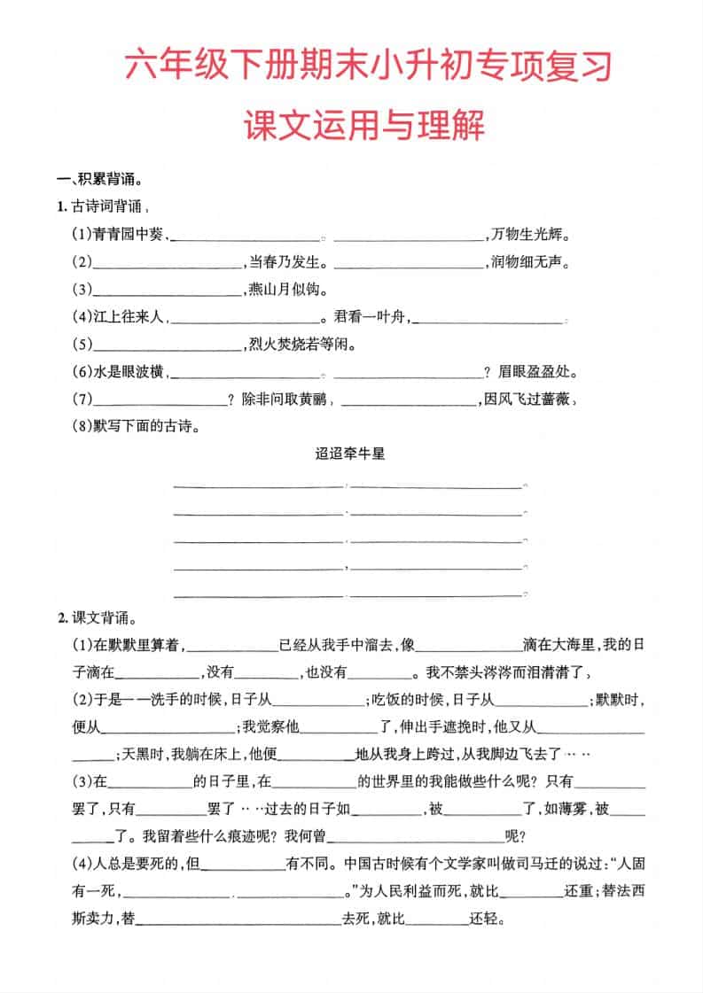 六年级下语文小升初课文运用与理解专项练习mc69.cn - 副业项目分享,互联网学习资源,考公考研资料,虚拟资料与创业思路天璇笔记网