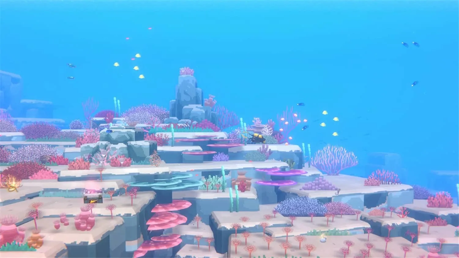 《潜水员戴夫》v1.0.5.1679中文版-趣奇资源网-第9张图片
