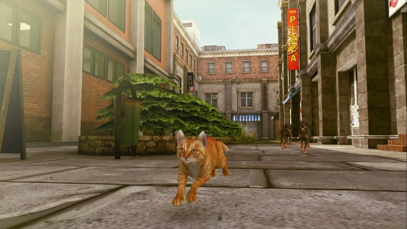 【美版】小猫大营救2 .Little Strays 2 中文