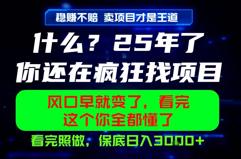 26年，请不要疯狂的找项目做了！卖项目才是真的稳賺不赔，看完照做，保底日入1k+【揭秘】mc69.cn - 副业项目分享,互联网学习资源,考公考研资料,虚拟资料与创业思路天璇笔记网