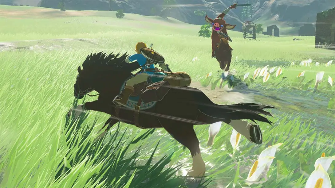 【美版】塞尔达传说：旷野之息 The Legend of Zelda: Breath of the Wild 中文