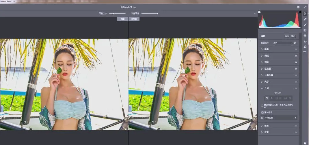 Adobe Camera Raw(RAW处理工具)v18.0.0中文版mc69.cn - 副业项目分享,互联网学习资源,考公考研资料,虚拟资料与创业思路天璇笔记网