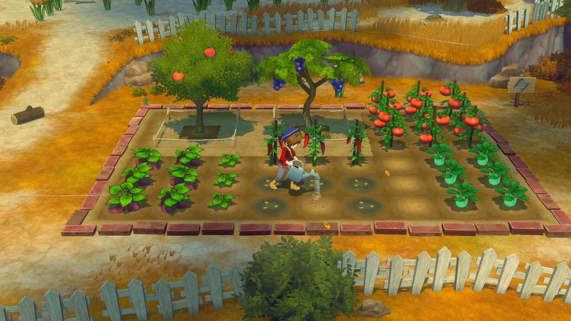 《牧场物语 来吧！风之繁华集市》v1.0.4中文版mc69.cn - 副业项目分享,互联网学习资源,考公考研资料,虚拟资料与创业思路天璇笔记网