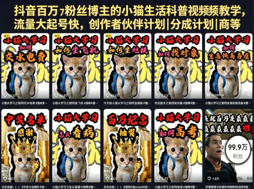 抖音百万粉丝博主的小猫生活科普视频教学，流量大起号快，创作者伙伴计划|分成计划|商单|收徒等mc69.cn - 副业项目分享,互联网学习资源,考公考研资料,虚拟资料与创业思路天璇笔记网