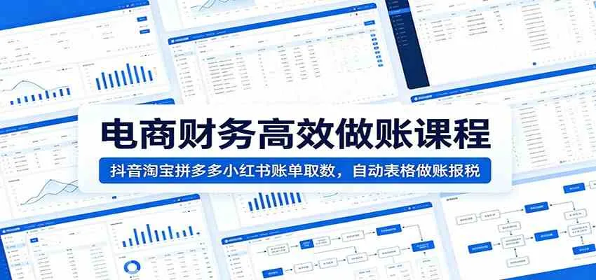 电商财务高效做账课程：抖音淘宝拼多多小红书账单取数，自动表格做账报税mc69.cn - 副业项目分享,互联网学习资源,考公考研资料,虚拟资料与创业思路天璇笔记网
